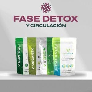 Fase Detox y Circulación
