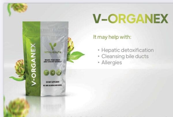 V-Organex - Image 2